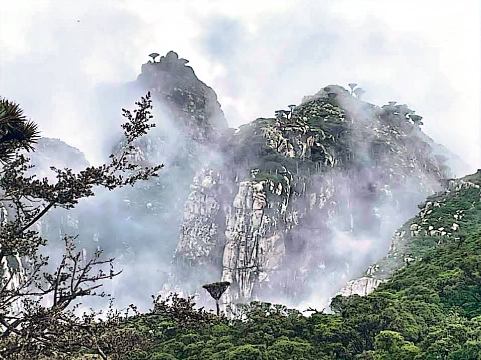 Уголок рая вдали от суеты  7 дн.Джидда 28.04-05.05 (37/65)