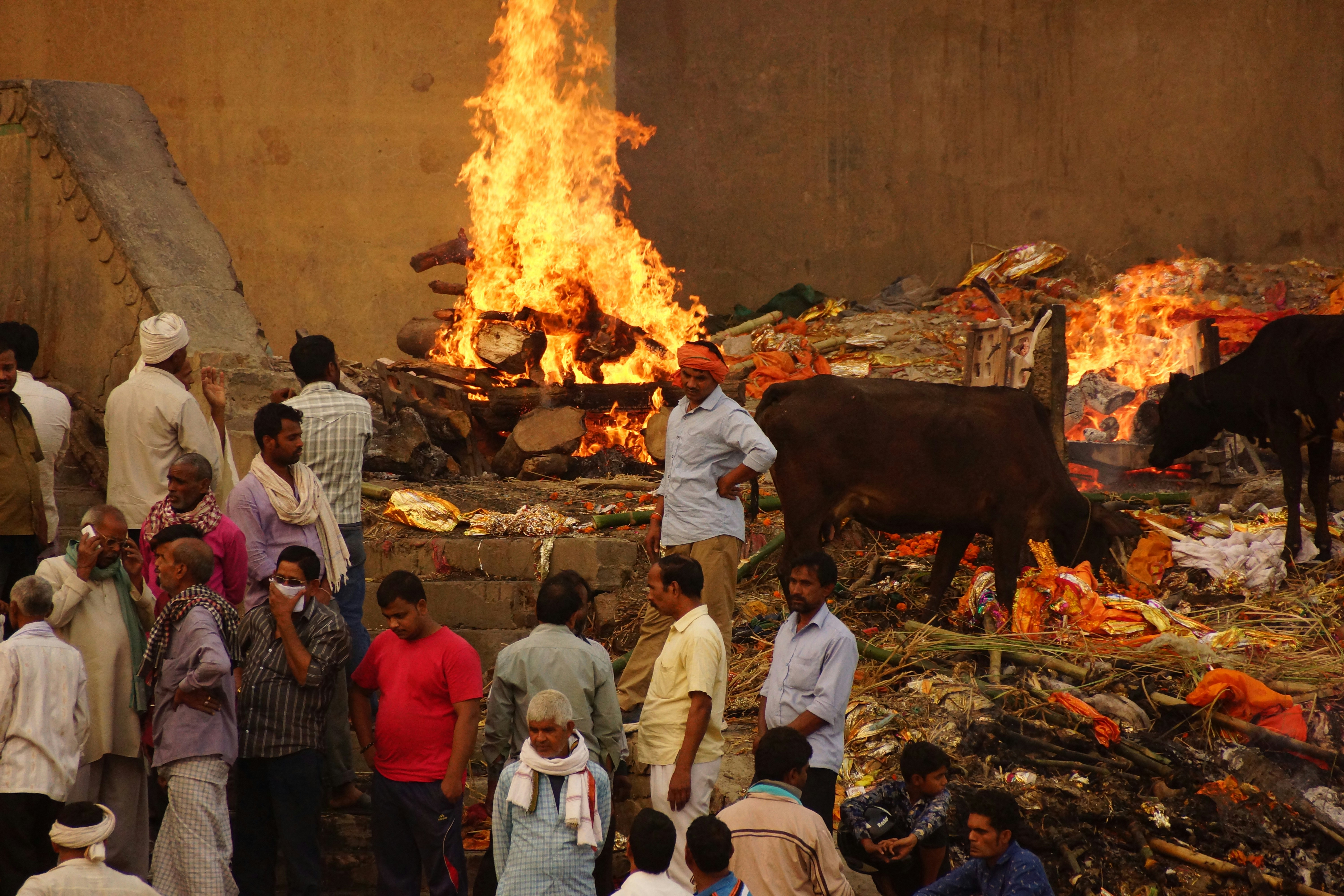 Дели - Джайпур - Агра - Варанаси - Мумбаи - Гоа (22/74)