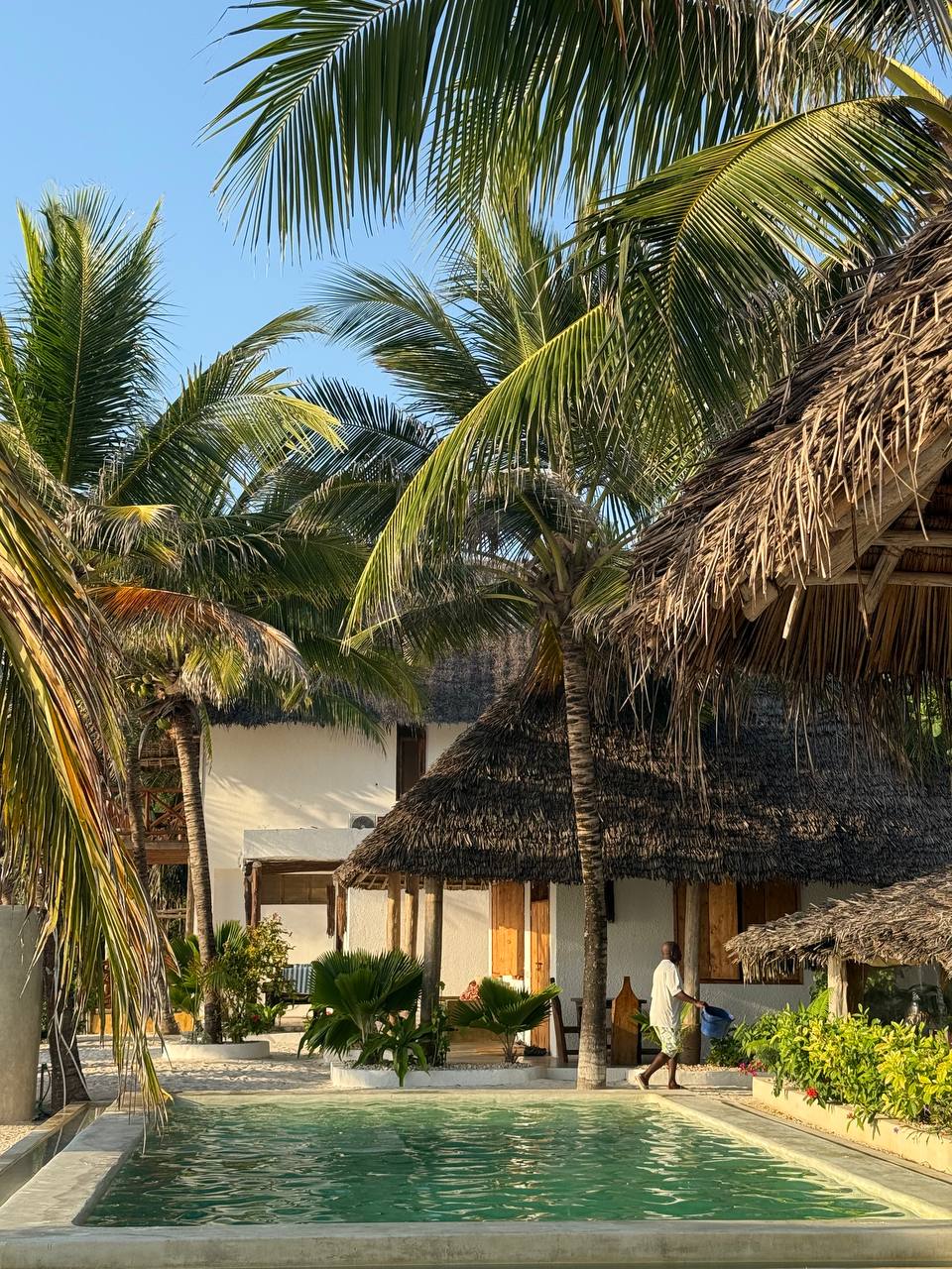 Жемчужина Африки: ваше Сафари в Серенгети, Большая пятёрка и океан Занзибара (9/47)