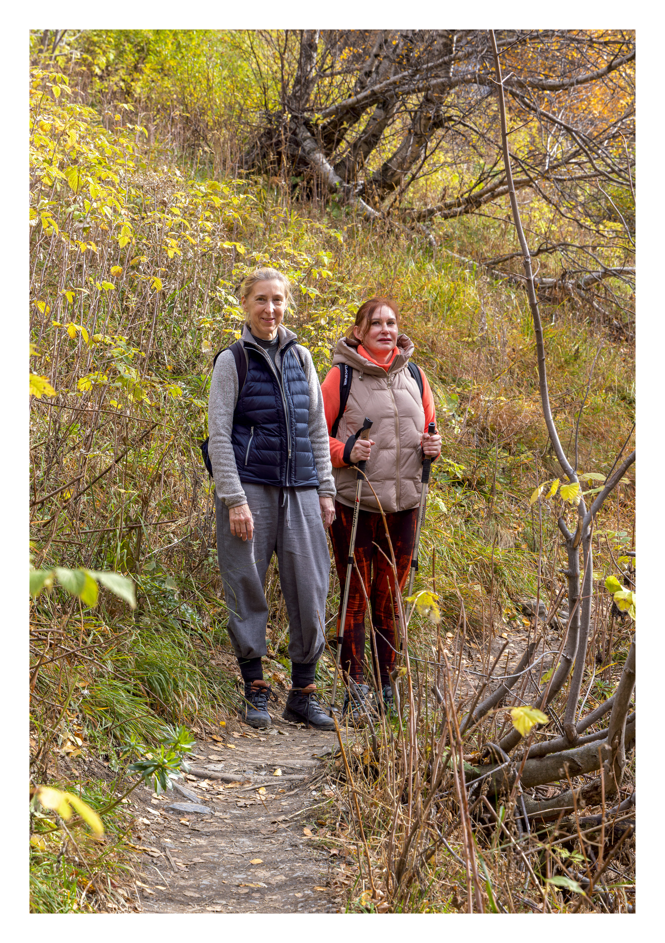 Максималка в Домбае за 6 дней с супер комфортом! (31/52)