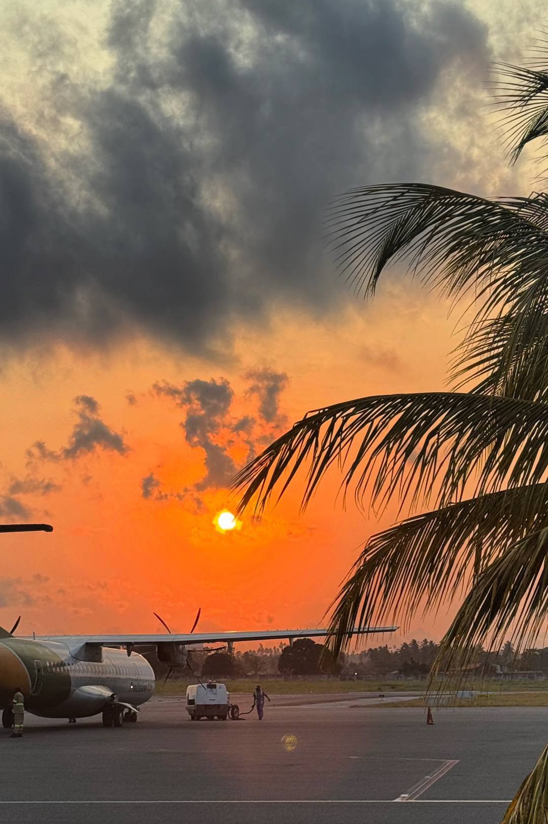 Жемчужина Африки: ваше Сафари в Серенгети, Большая пятёрка и океан Занзибара (22/47)