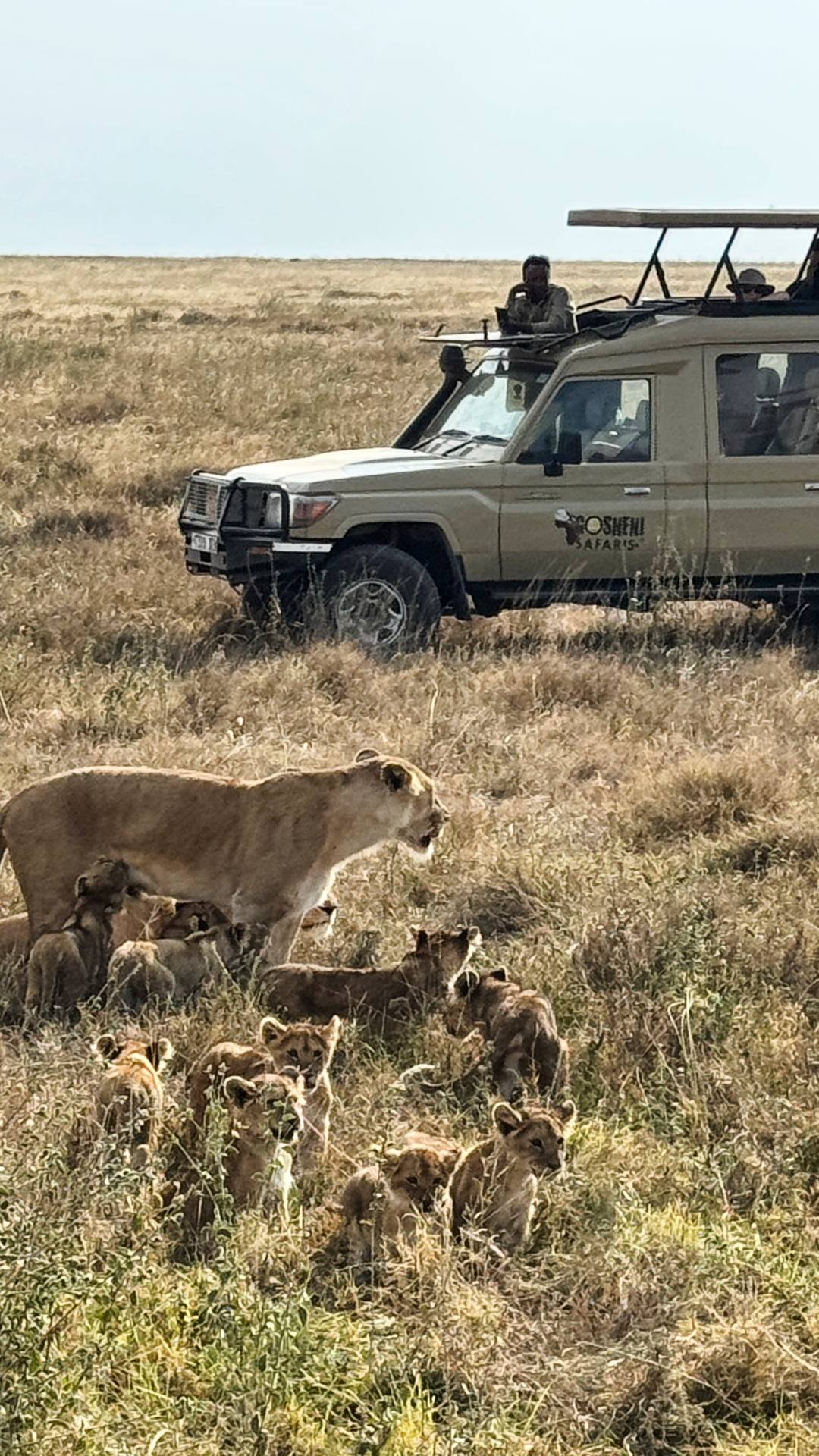 Жемчужина Африки: ваше Сафари в Серенгети, Большая пятёрка и океан Занзибара (18/47)
