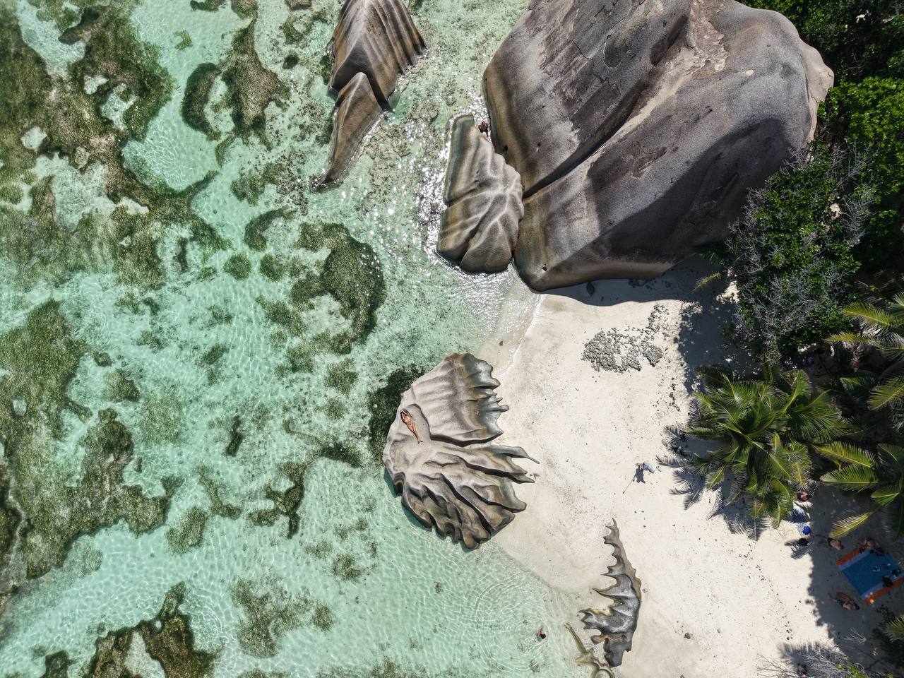 Сейшелы 8 дней. От лазурных берегов до зеленых холмов (15/47)