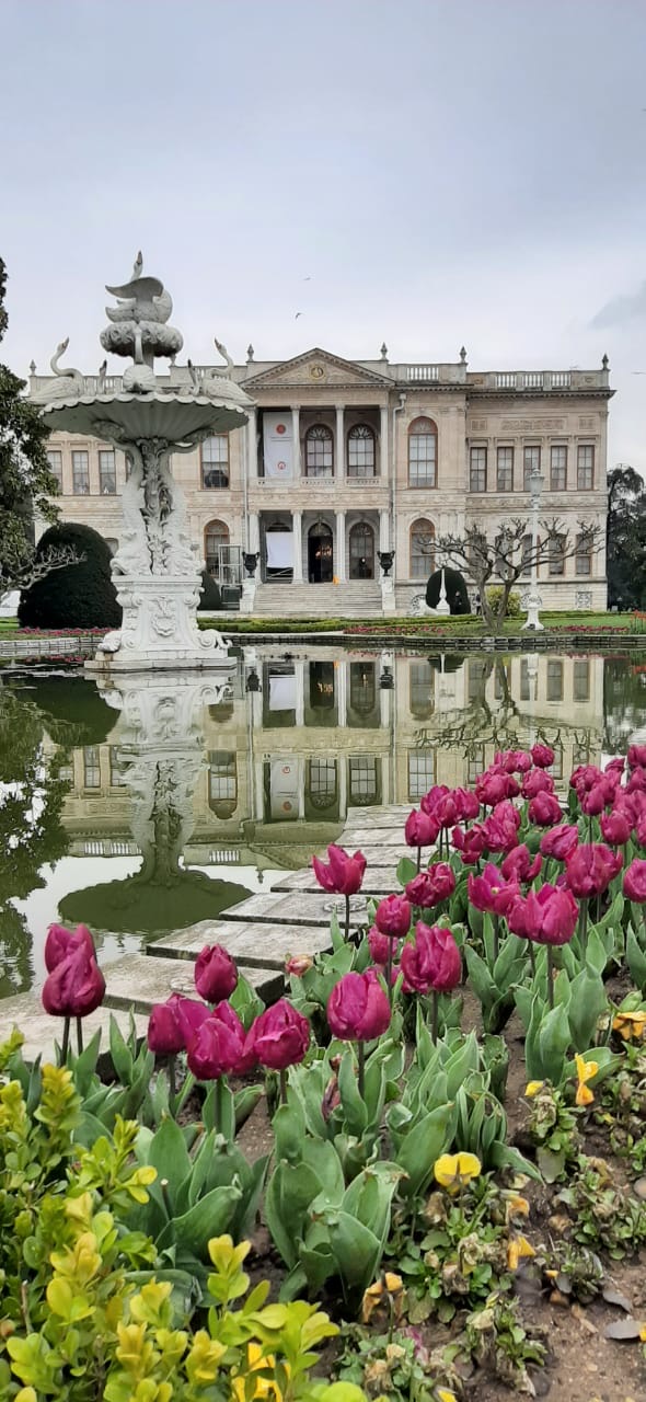 Сказочный Стамбул и Принцевы острова 5 дней с проживанием. (32/55)