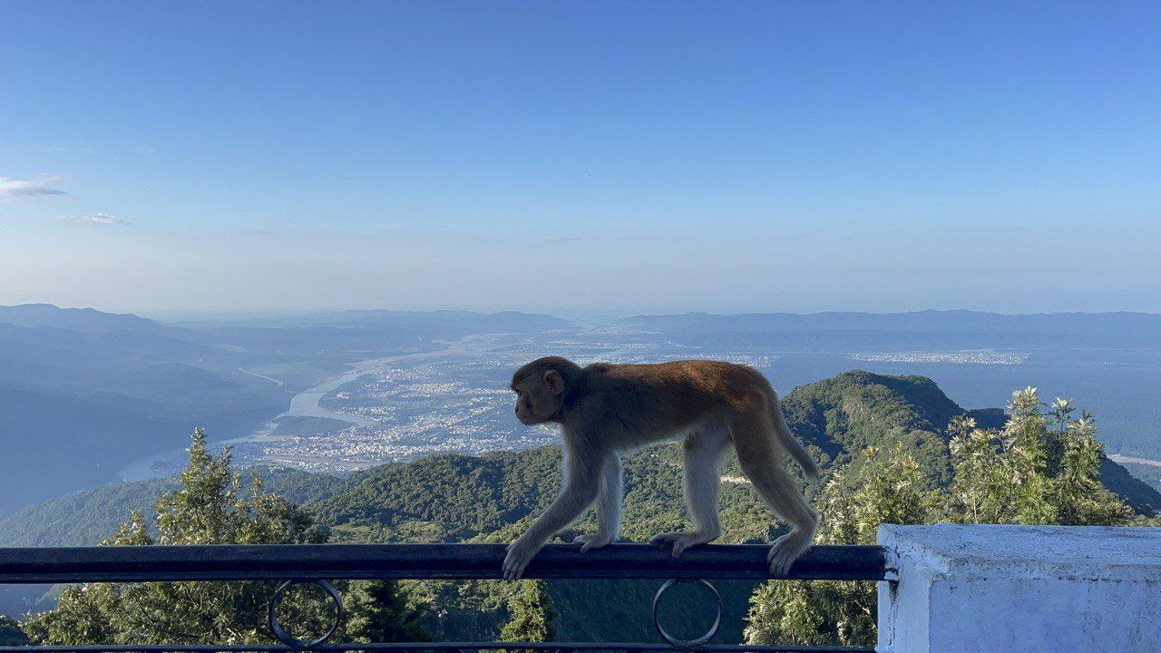 Йога-тур в Ришикеш Погружение в традицию (2/7)