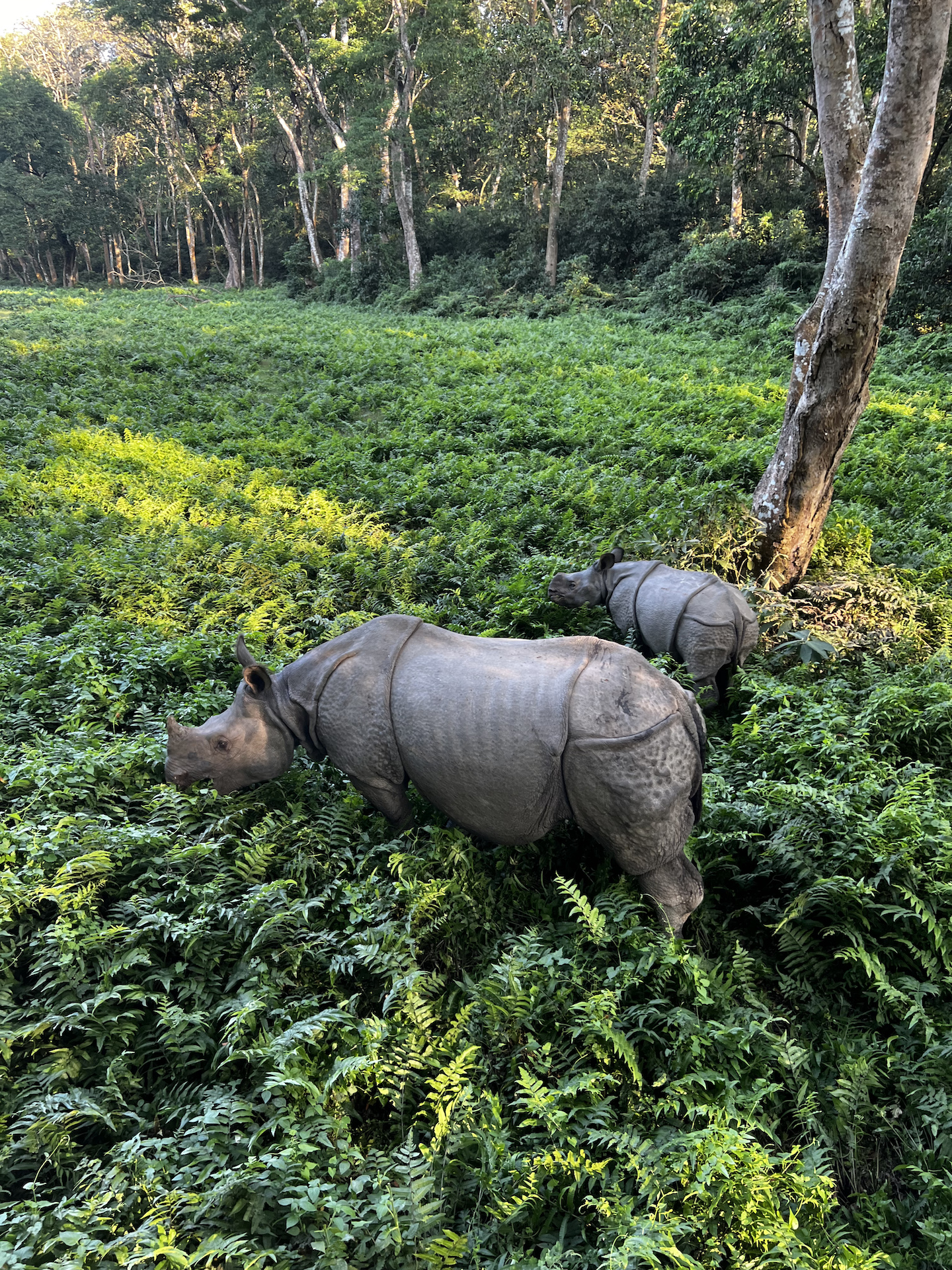Жемчужина Непала Муктинатх. Экскурсионный автотур по Непалу (9/42)