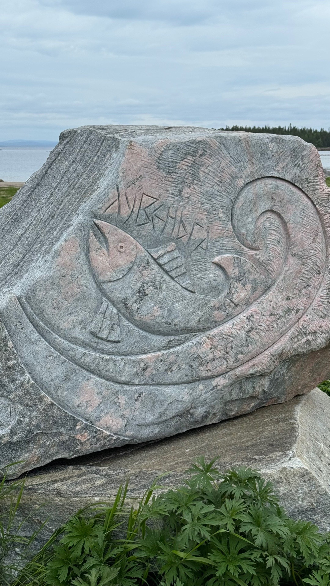 Сокровища Терского берега (16/28)