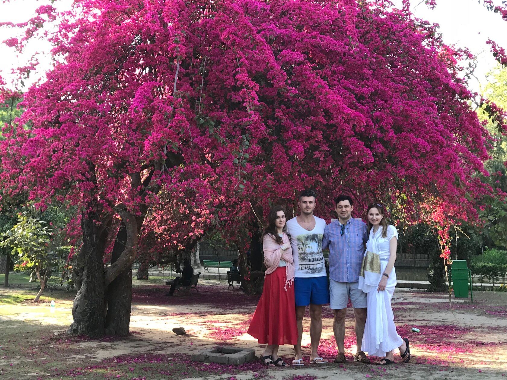 Путешествие в Долину Куллу (6/33)