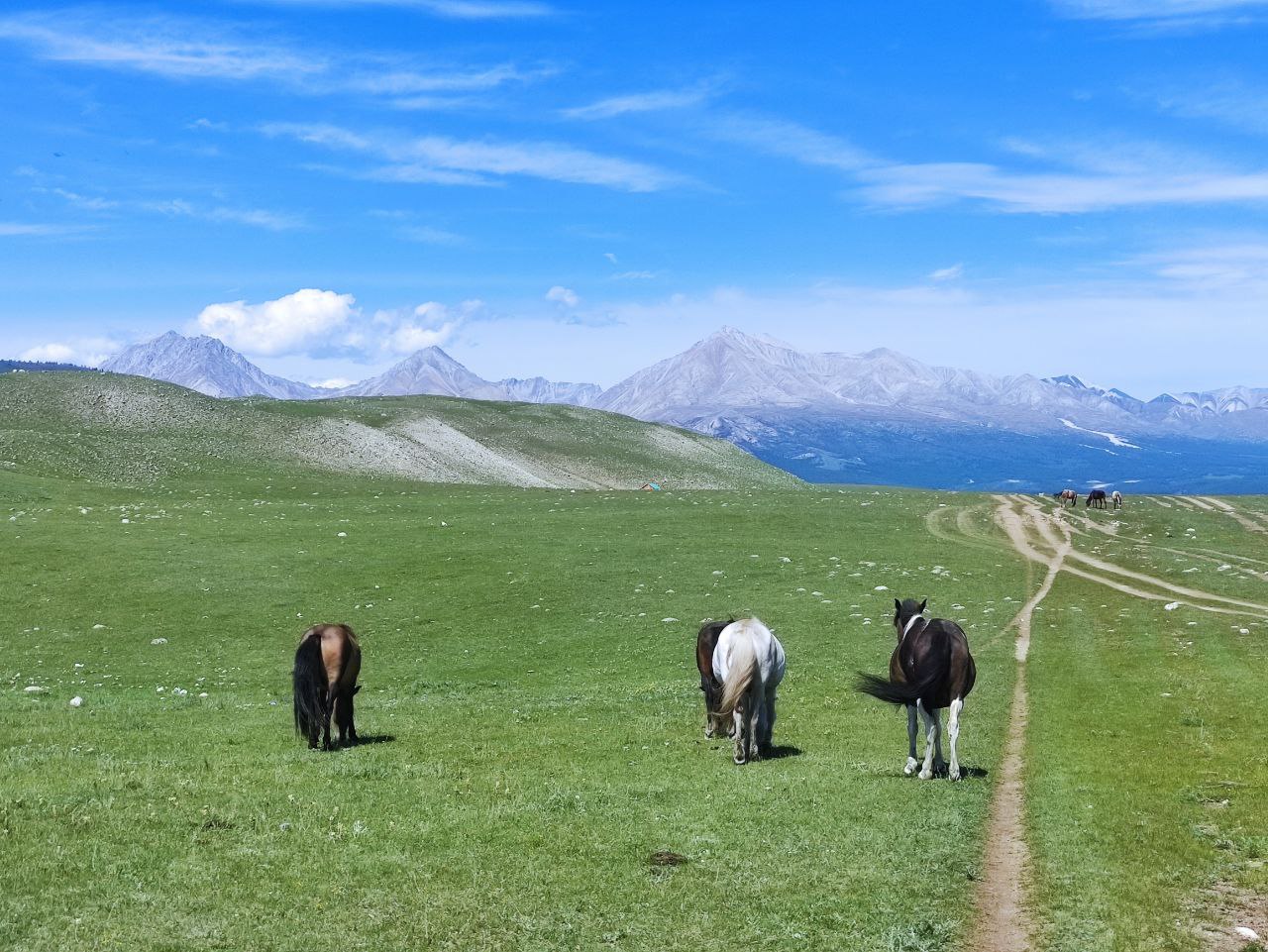 В Монголию к озеру Хубсугул (45/68)