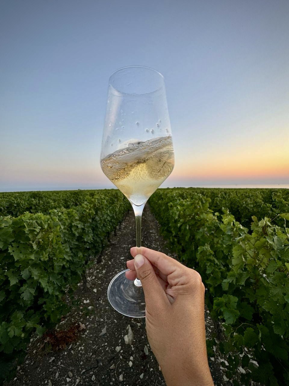 Девичник на Винодельнях: вино, яхта, жизнь у виноградников (14/45)