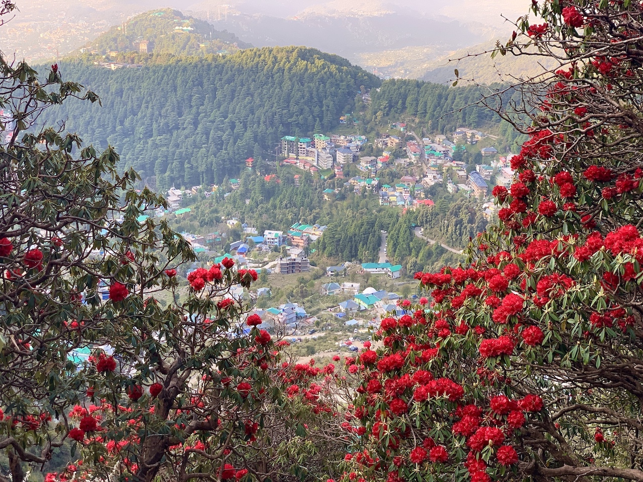 Путешествие в Долину Куллу (4/33)