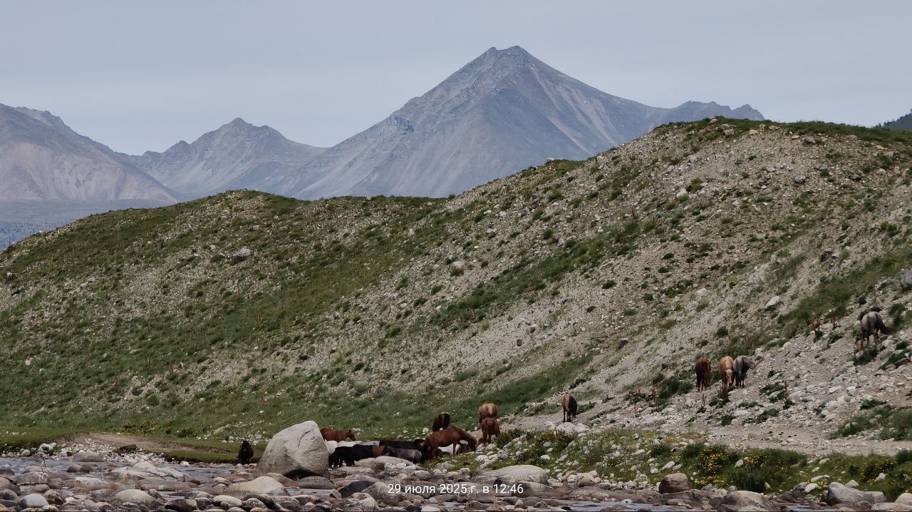 В Монголию к озеру Хубсугул (51/68)