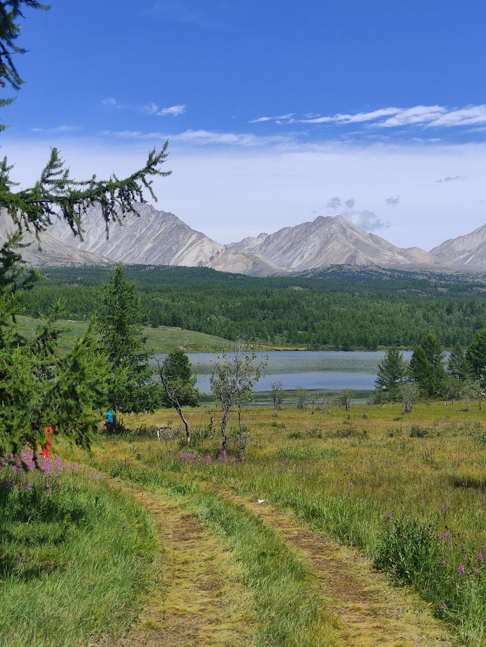 В Монголию к озеру Хубсугул (46/68)