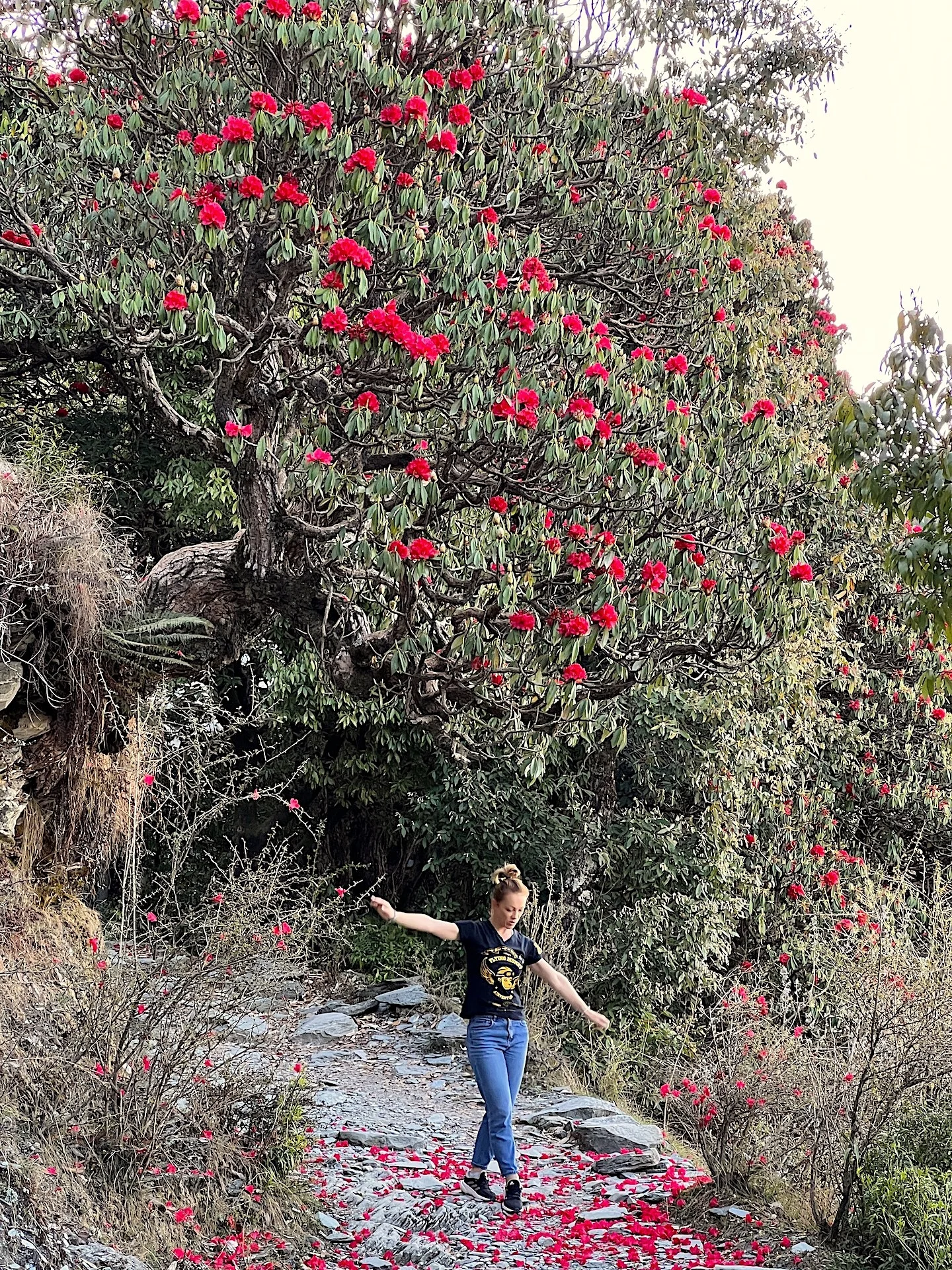 Путешествие в Долину Куллу (20/33)