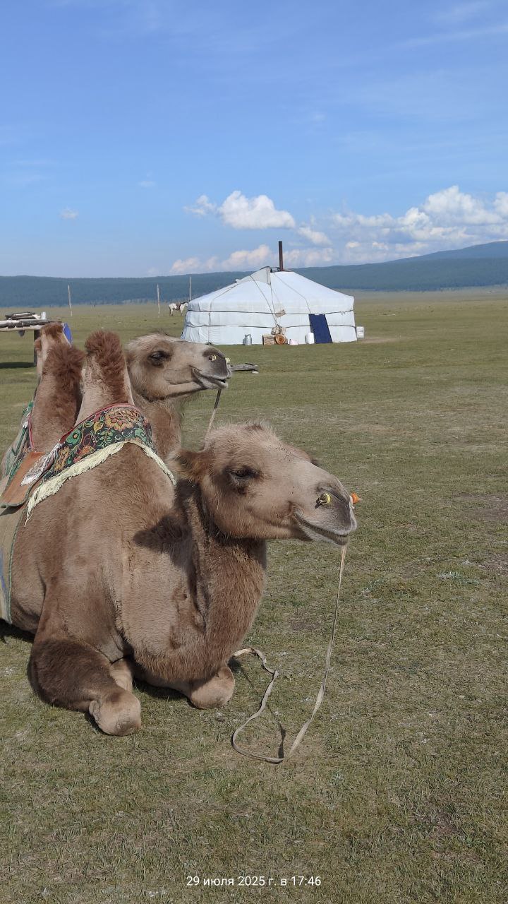 В Монголию к озеру Хубсугул (56/68)