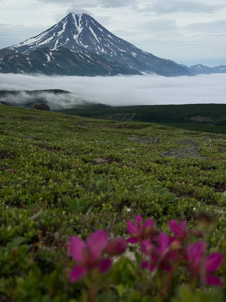 Хит Камчатки: более 20 локаций за 8 дней. Всё включено. (74/110)