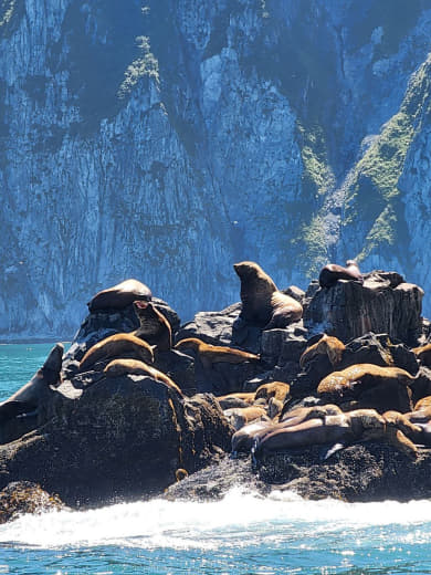 Хит Камчатки: более 20 локаций за 8 дней. Всё включено. (42/110)