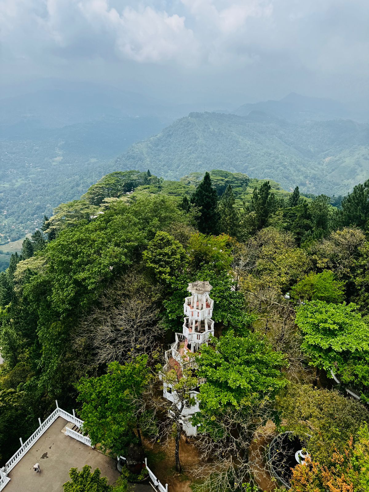 Все Самое Интересное На Шри-Ланке За 5 Дней (11/28)