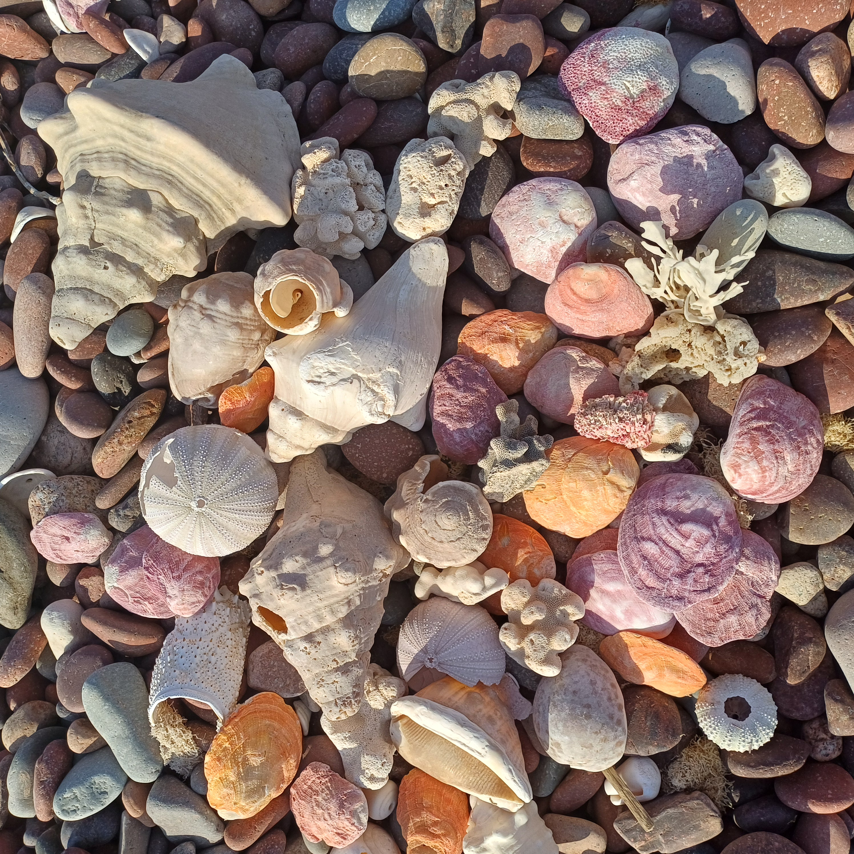 Уголок рая вдали от суеты  7 дн.Джидда 28.04-05.05 (40/65)