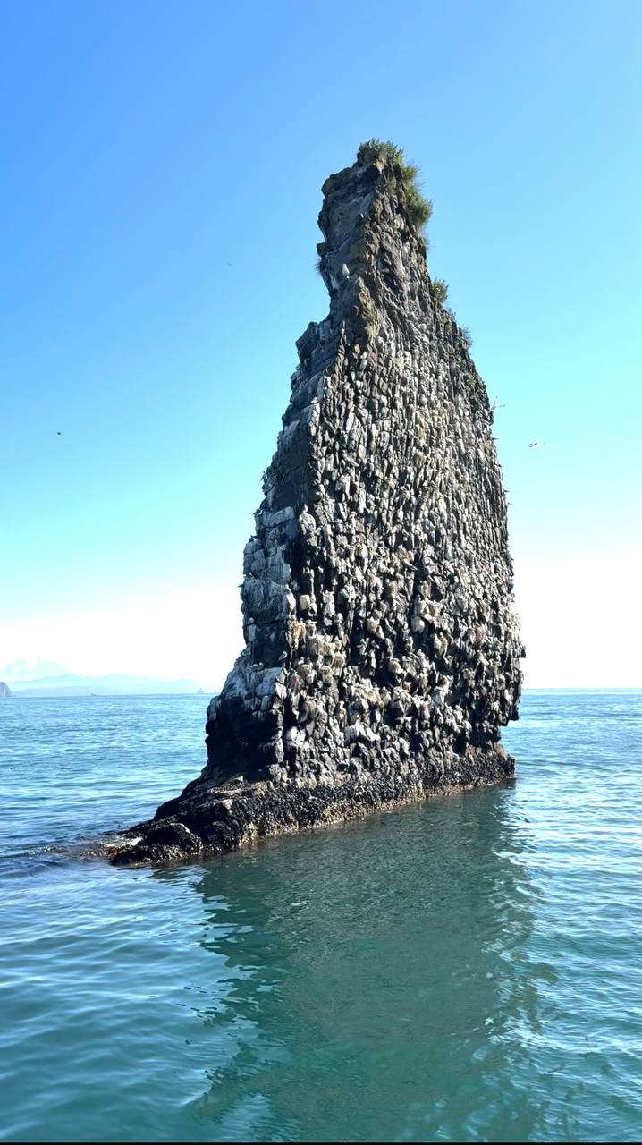 Хит Камчатки: более 20 локаций за 8 дней. Всё включено. (68/110)