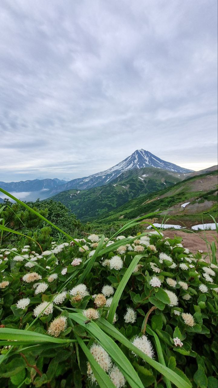 Хит Камчатки: более 20 локаций за 8 дней. Всё включено. (76/110)