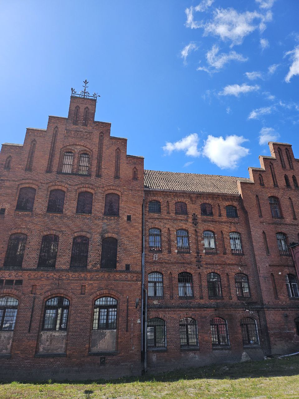 Балтийское сокровище (12/19)