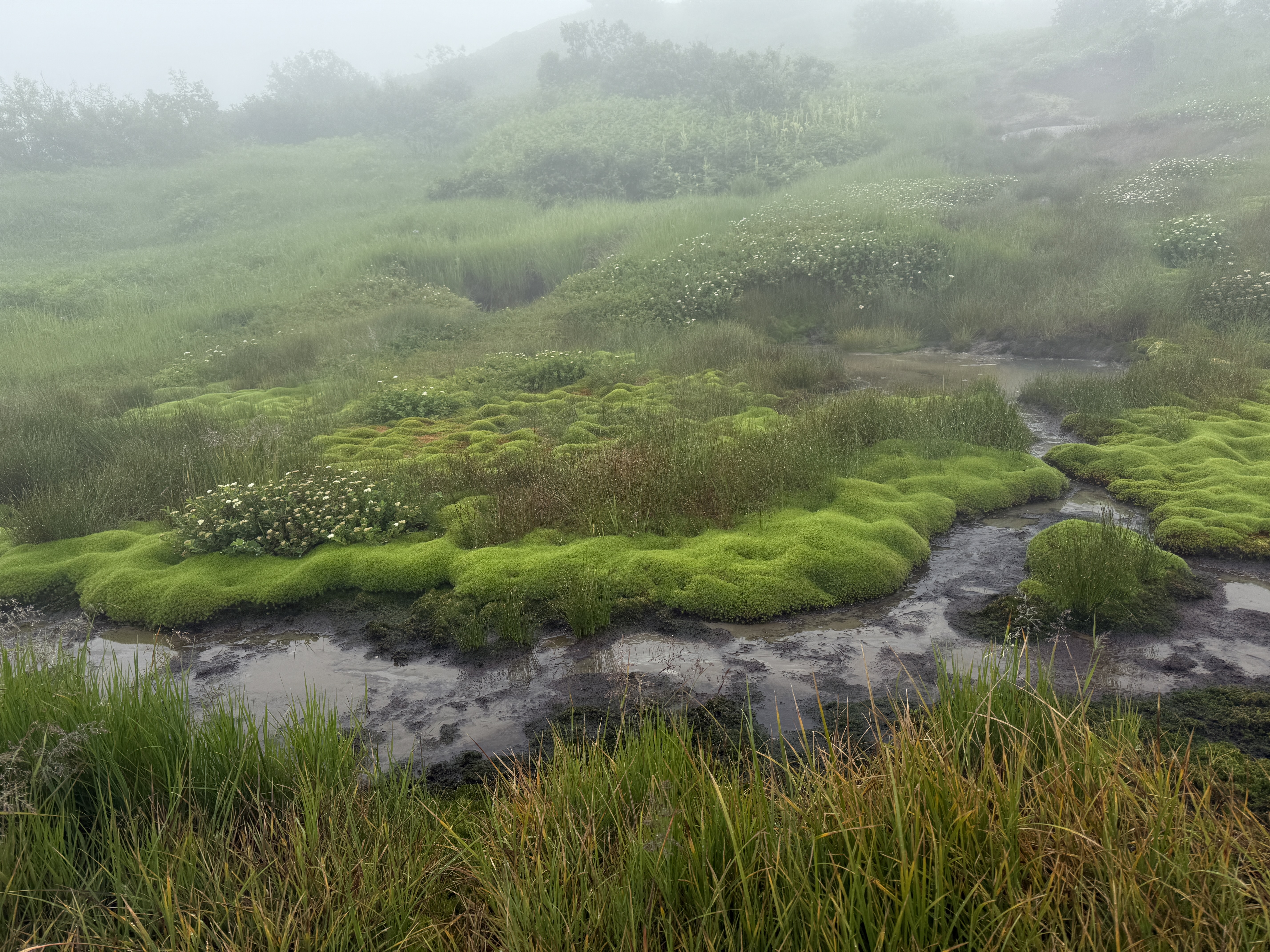 Хит Камчатки: более 20 локаций за 8 дней. Всё включено. (80/110)