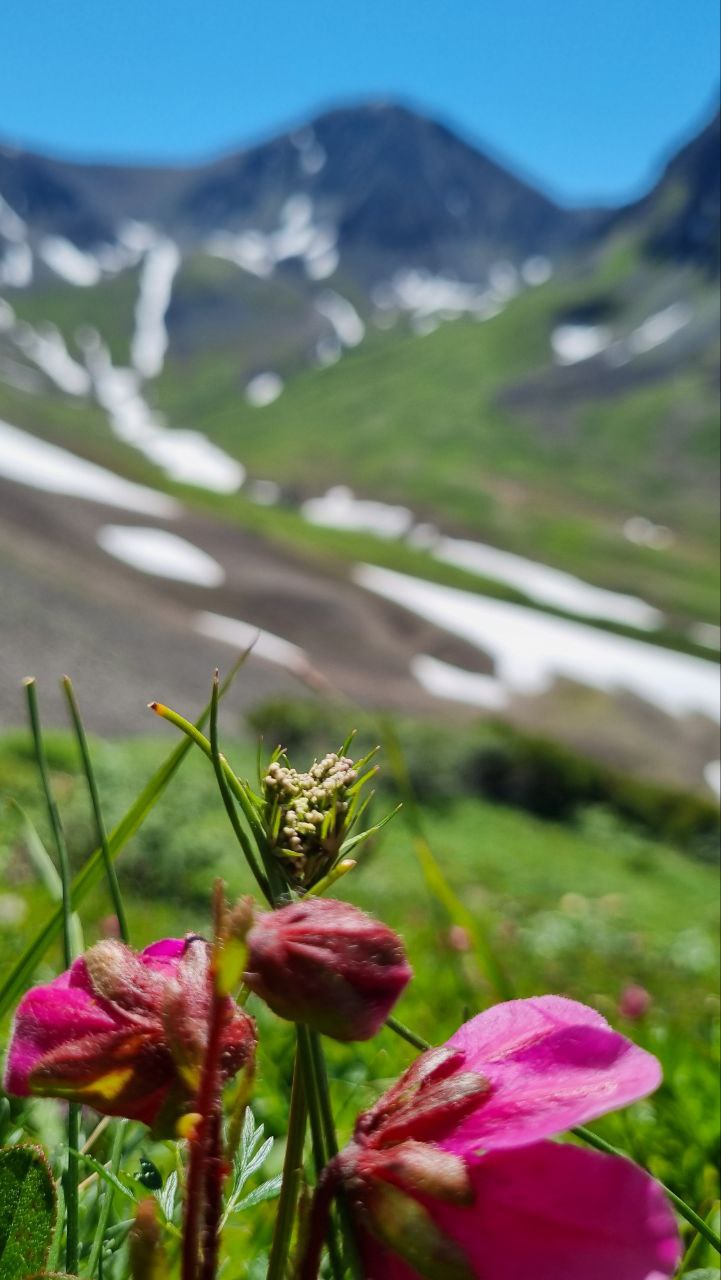 Хит Камчатки: более 20 локаций за 8 дней. Всё включено. (63/110)