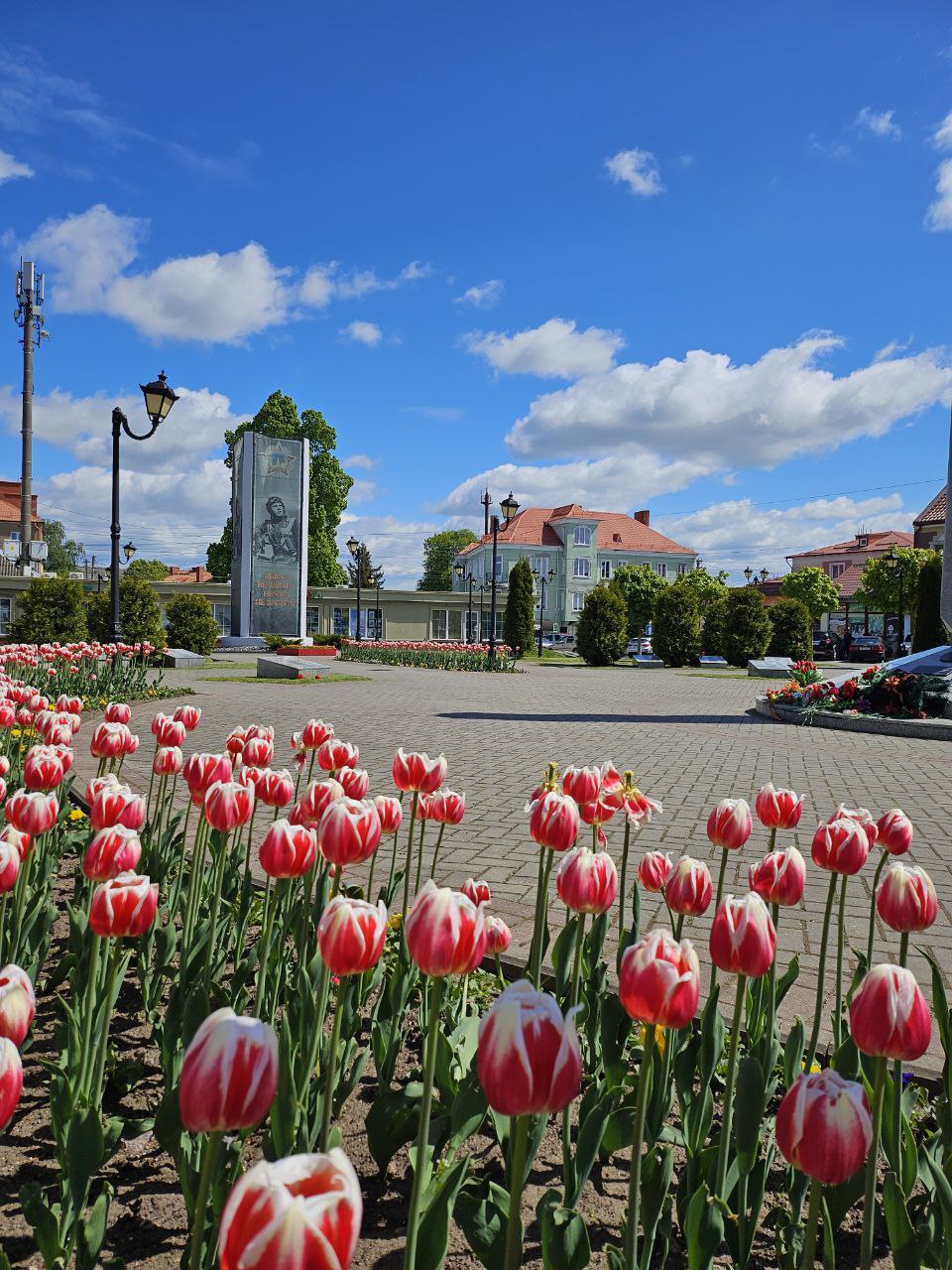 Балтийское сокровище (11/19)