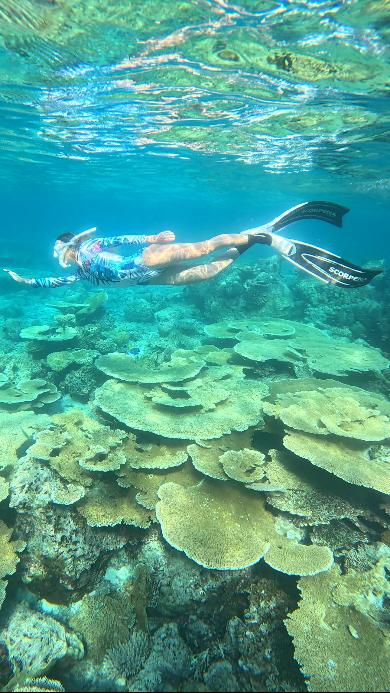 Мальдивы. Снорклинг & Фридайвинг: манты и акулы-няньки (9/9)