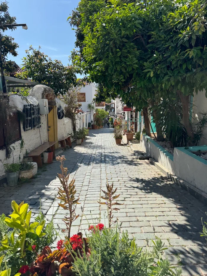 Турция на вкус: гастротур с традиционными блюдами (на Баварии из Финике) (36/62)