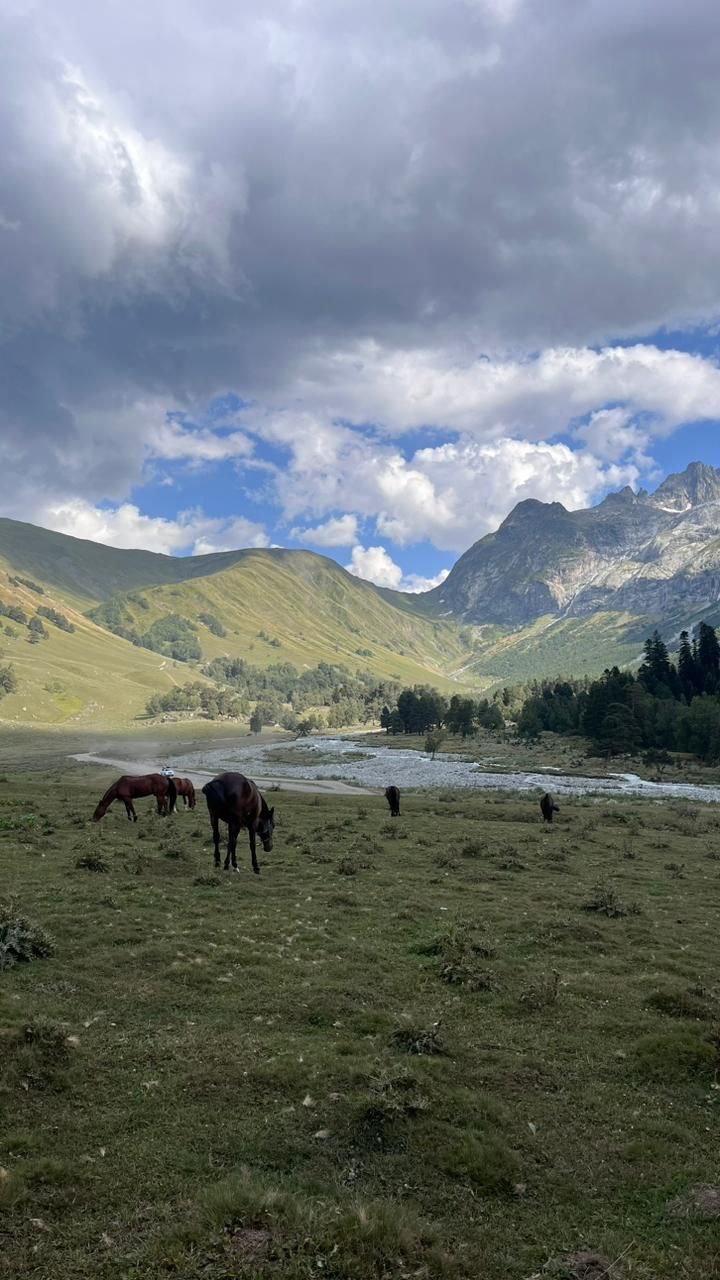 Настроение - Горы! Активный тур по Карачаево-Черкесии! (82/116)