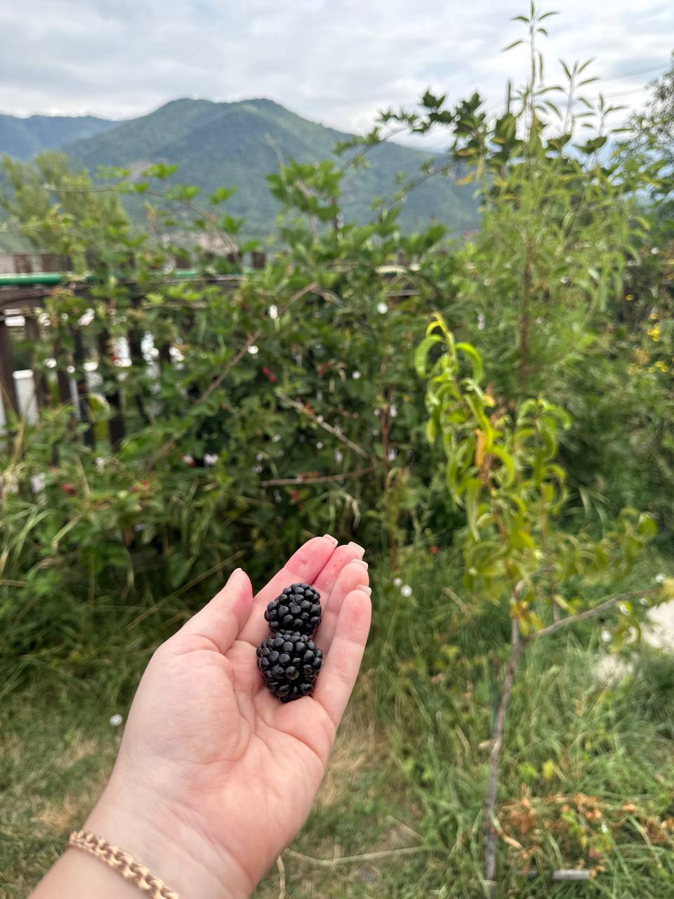 Её Армения (6/10)