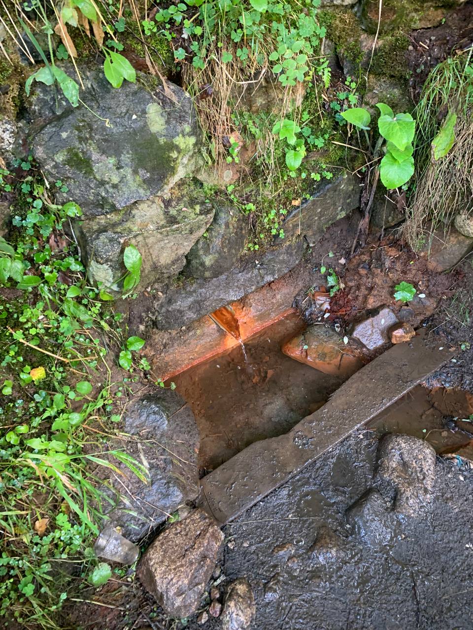 Домбай на ладони. (47/59)