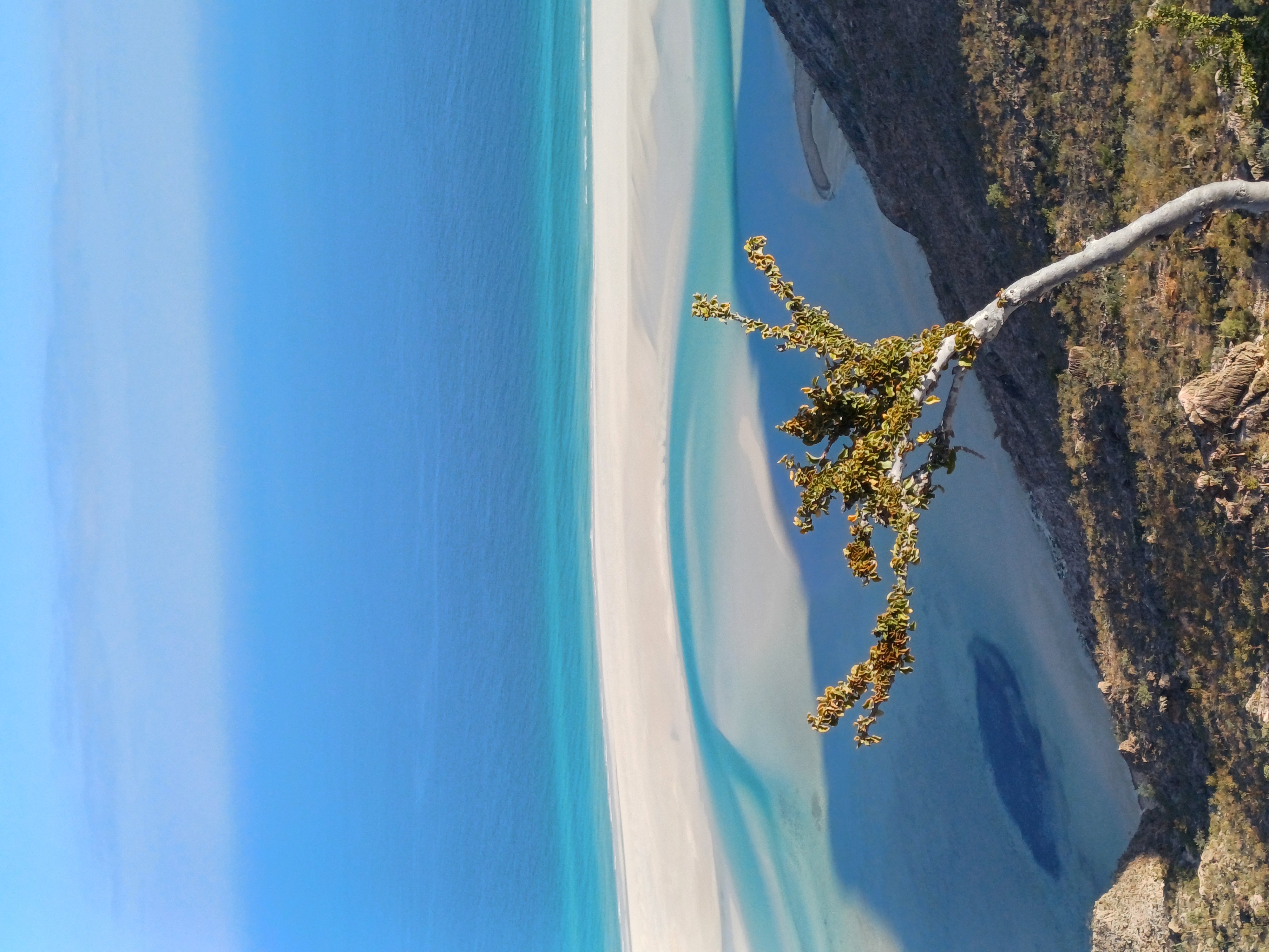 Новый Год (доп.группа) на Сокотре-обещание нового начала. 8 дней (45/88)