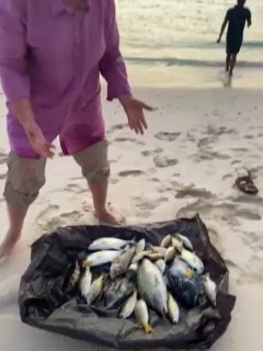 Новый Год (доп.группа) на Сокотре-обещание нового начала. 8 дней (42/88)