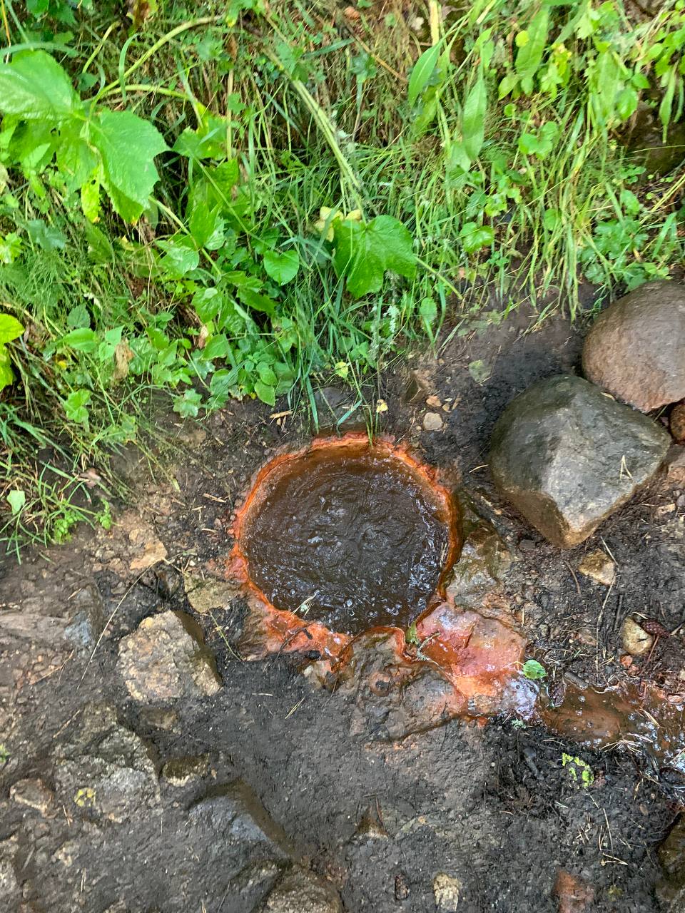 Домбай на ладони. (46/59)