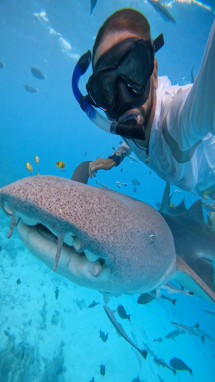 Мальдивы. Снорклинг & Фридайвинг: манты и акулы-няньки (3/9)