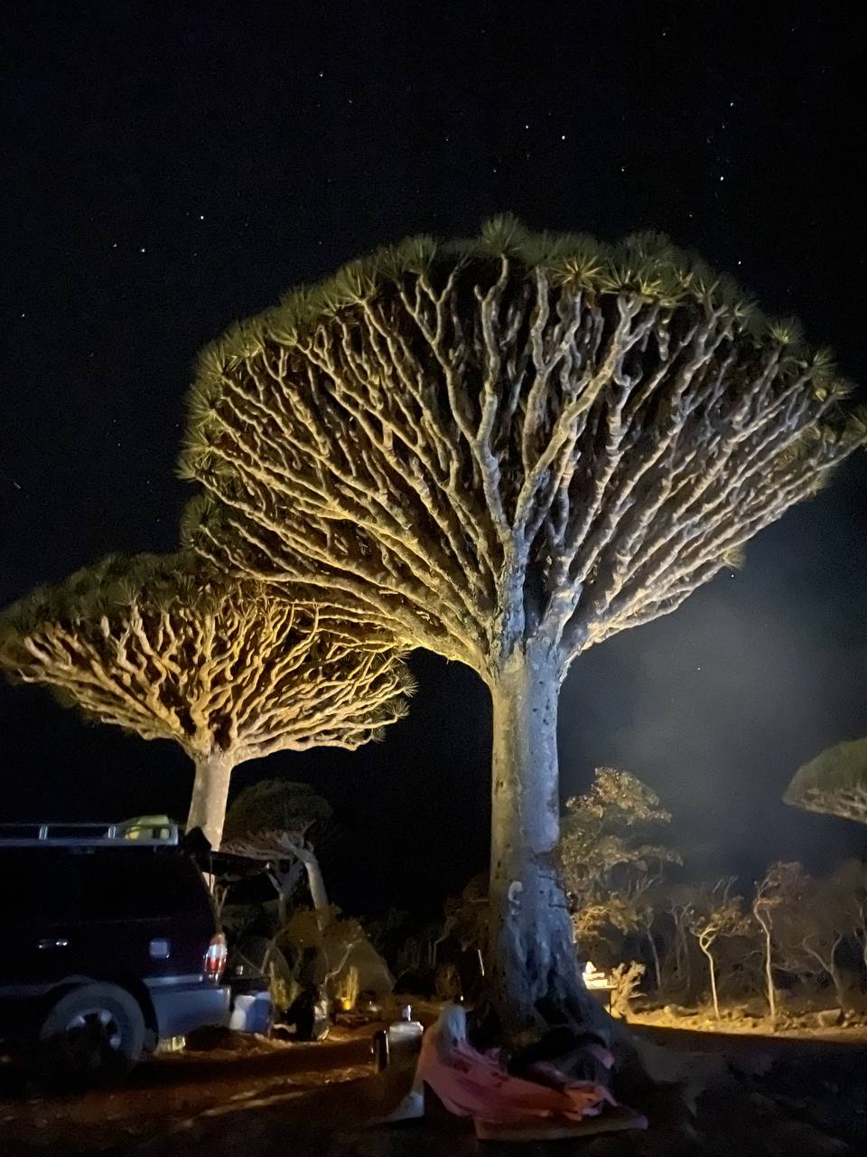 Новый Год (доп.группа) на Сокотре-обещание нового начала. 8 дней (43/88)