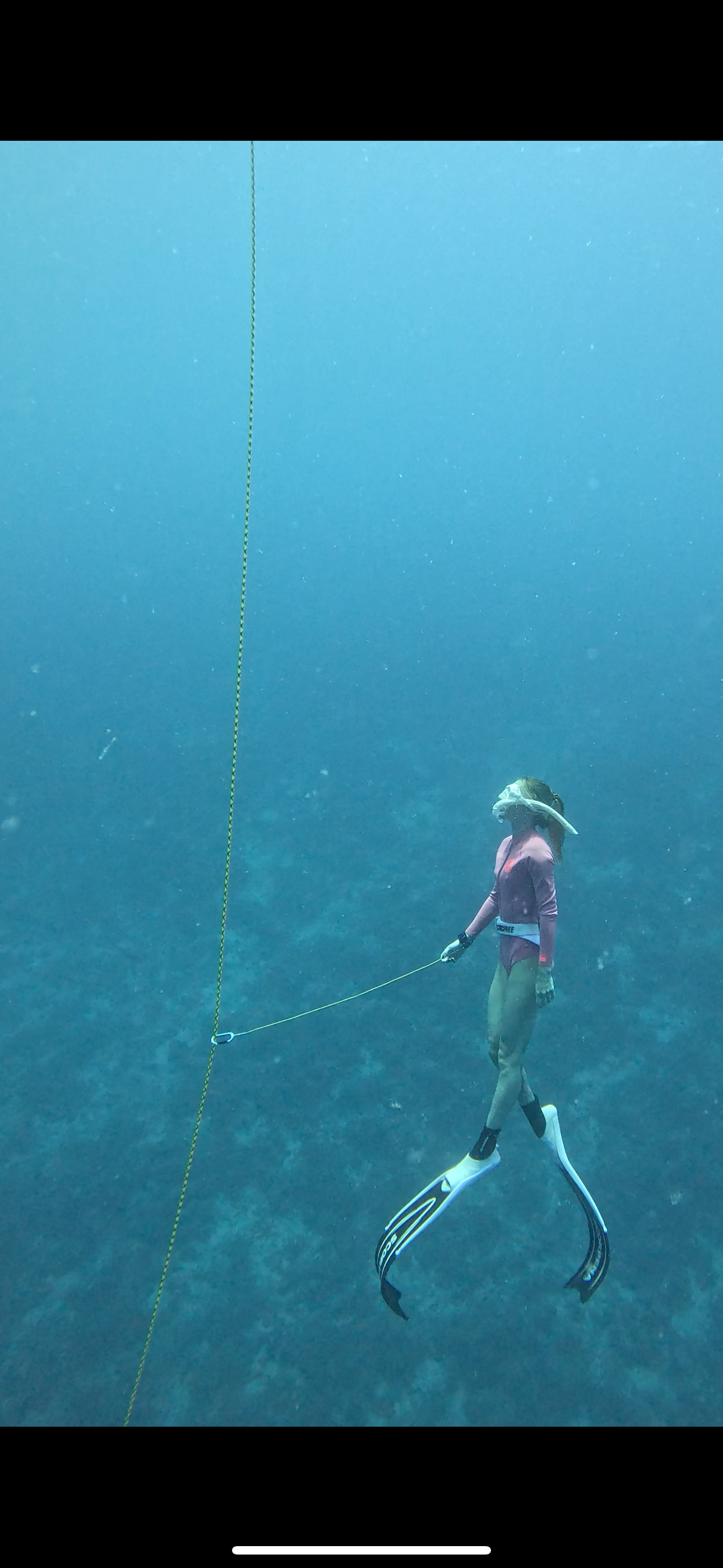 Мальдивы. Снорклинг & Фридайвинг: манты и акулы-няньки (8/9)