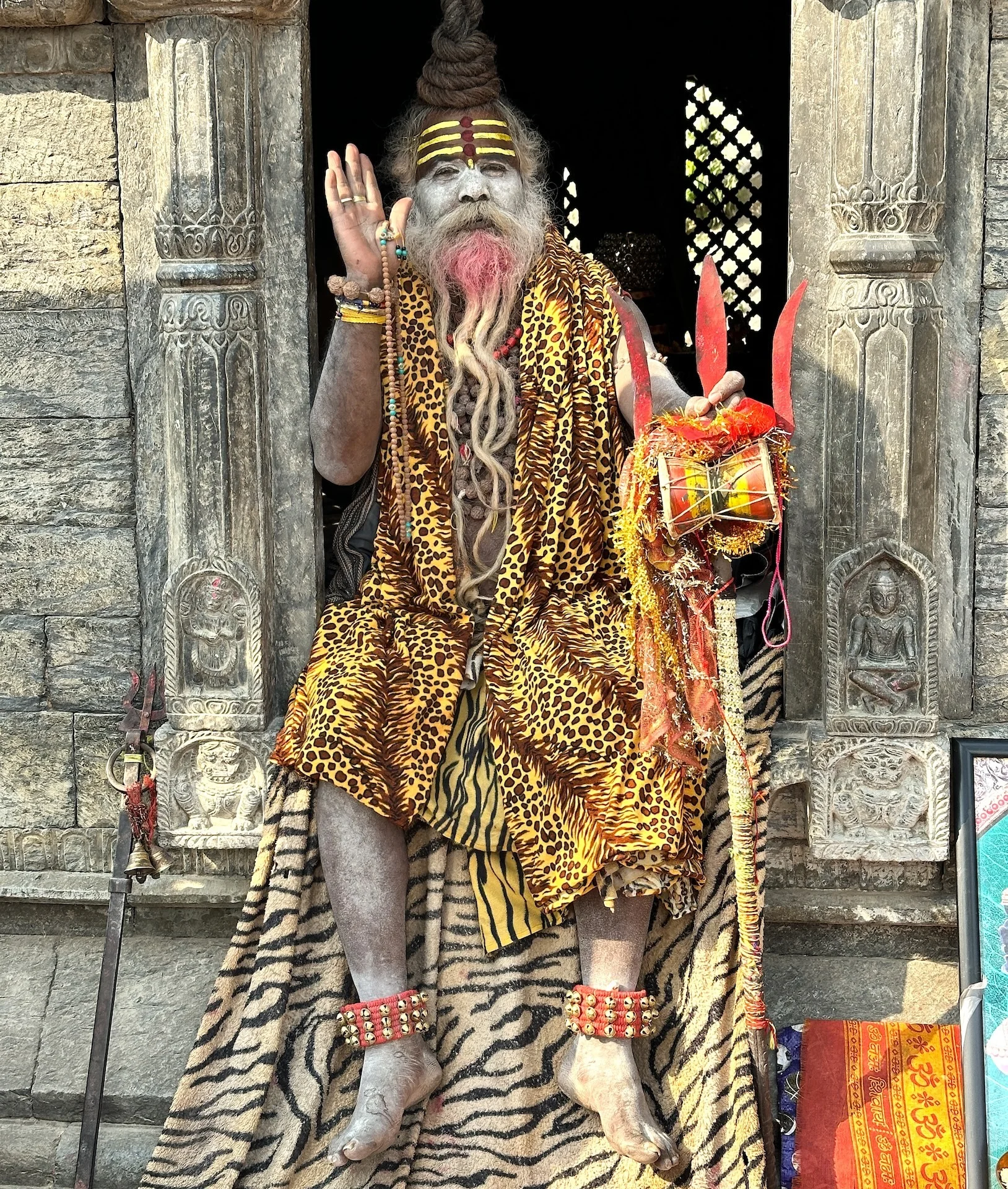 Трекинг к Базовому Лагерю Аннапурны (11/37)