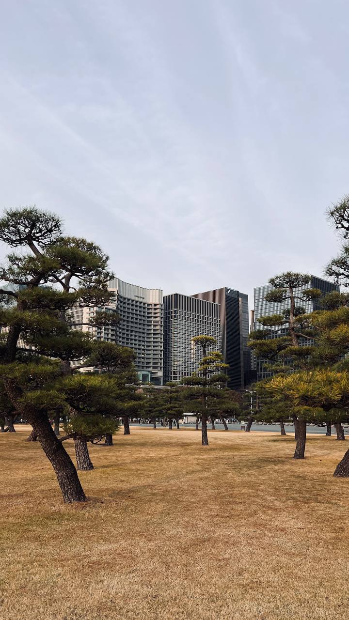 Япония  — путешествие по стране восходящего солнца (48/75)