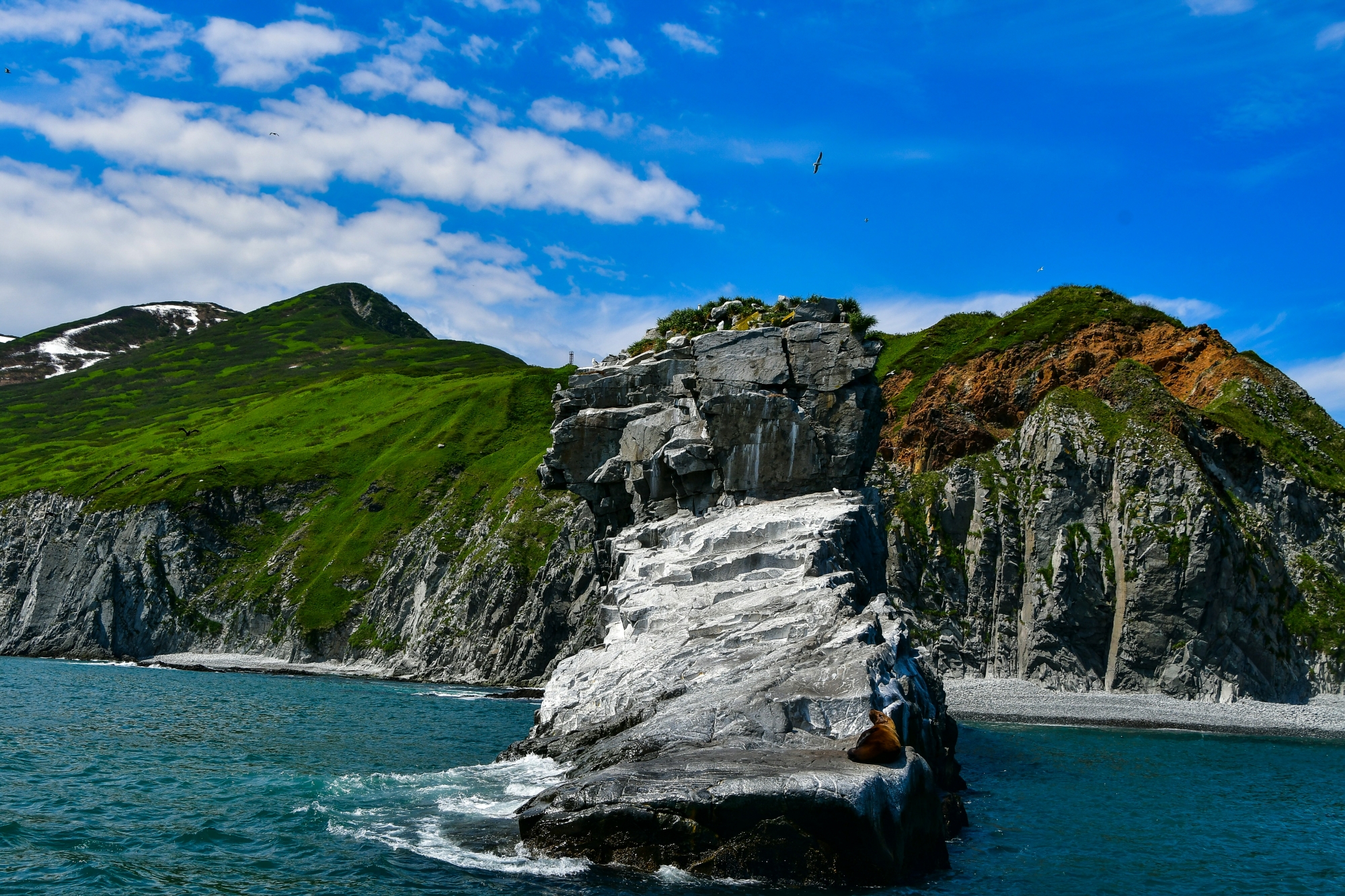 Берингова одиссея: поэзия жизни у края земли. Экспедиционный круиз (14/47)