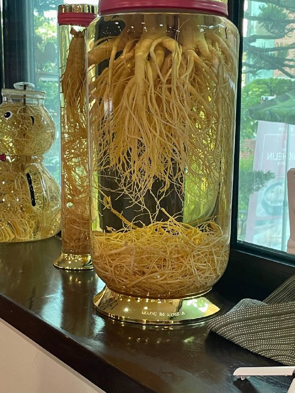 К-приключения_осенние каникулы в Корее (15/16)