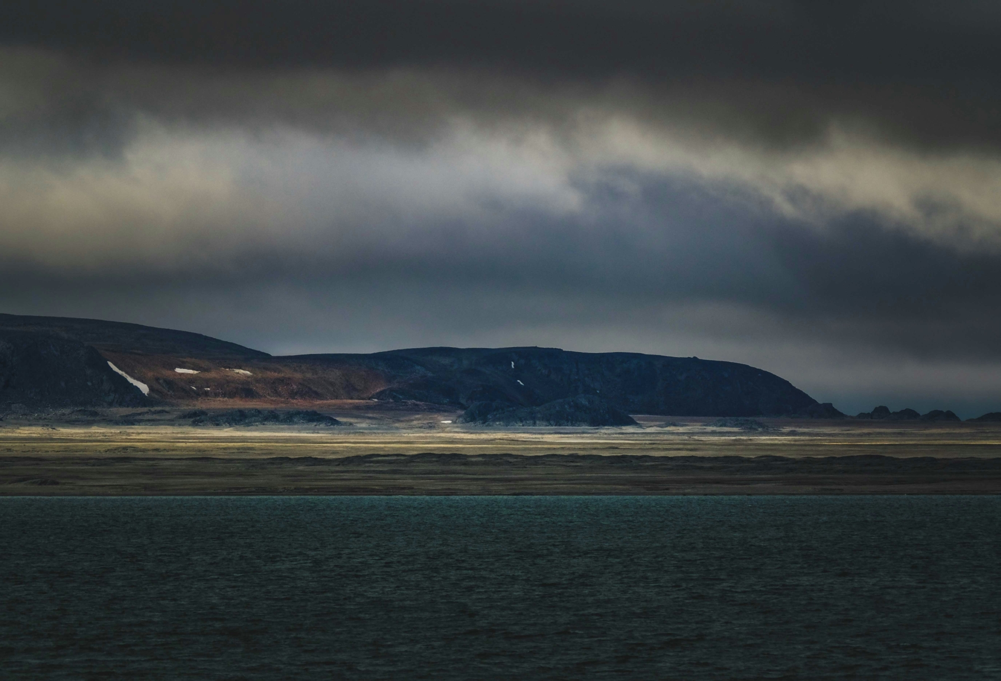 Берингова одиссея: поэзия жизни у края земли. Экспедиционный круиз (12/47)