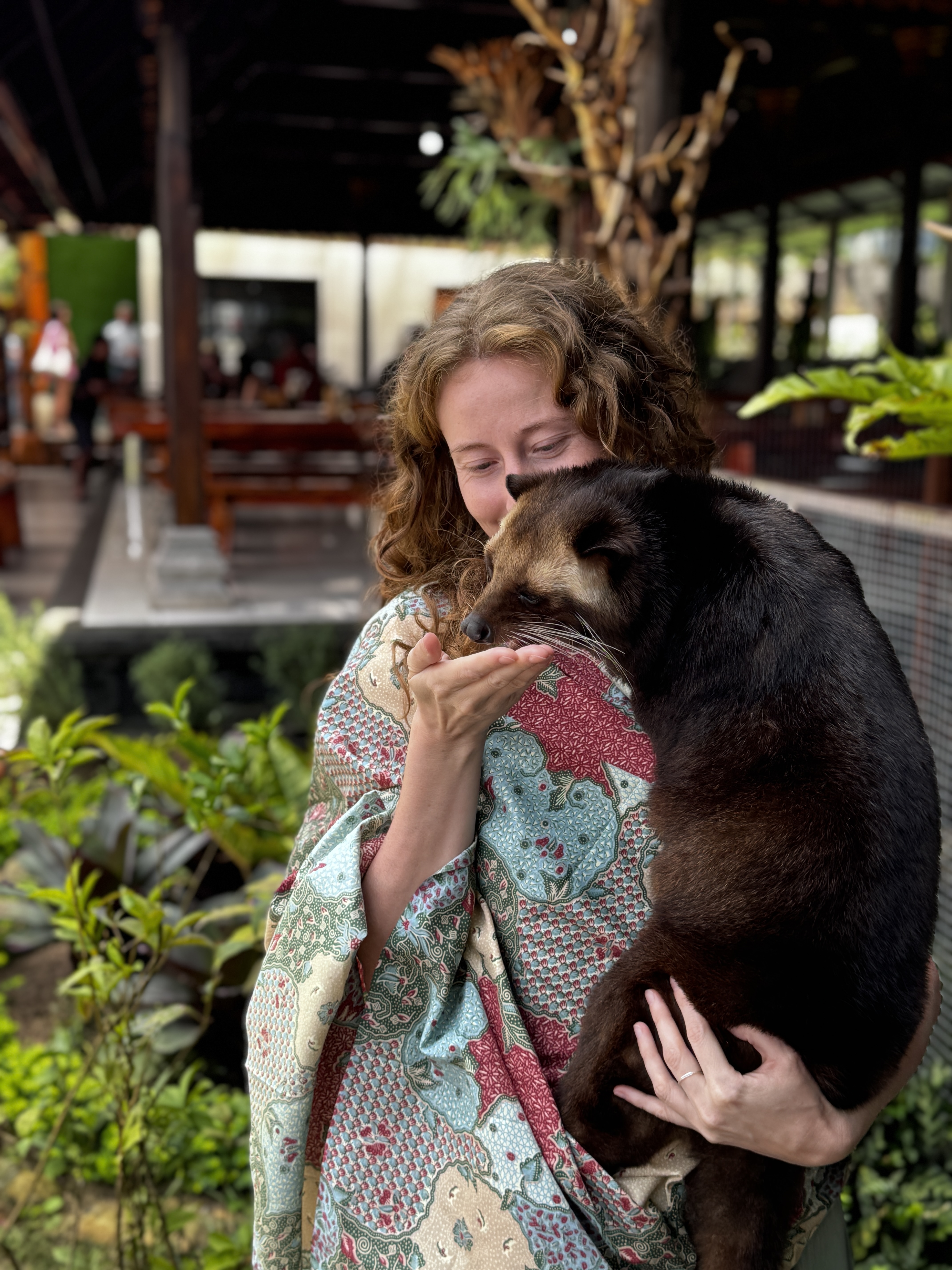 Большое приключение по Бали,Нуса Пениде и Яве с восхождением на Иджен! (80/269)