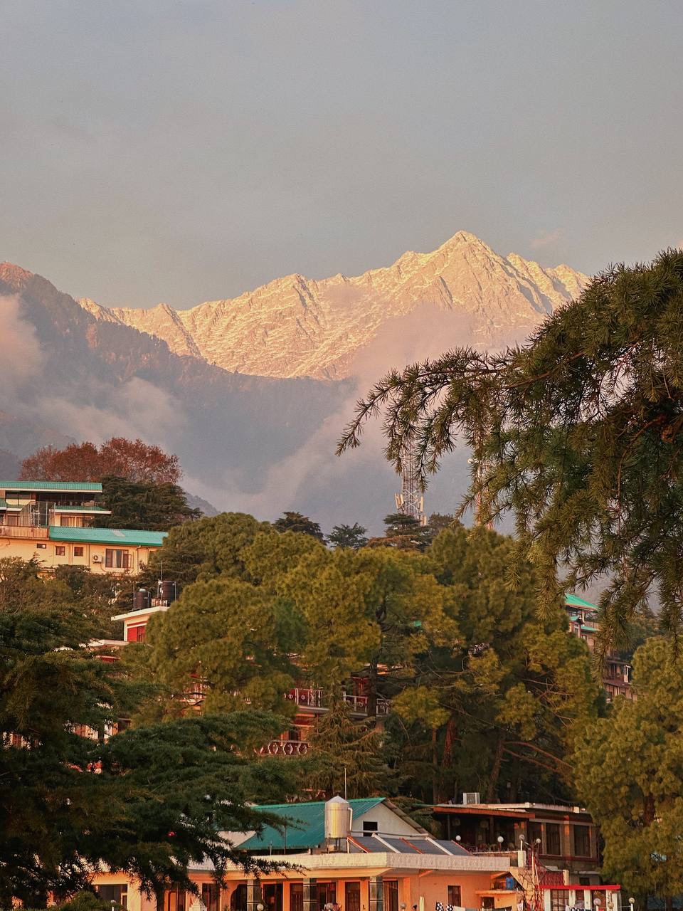 Гималаи. В гостях у Далай-Ламы + места силы Рериха (33/75)