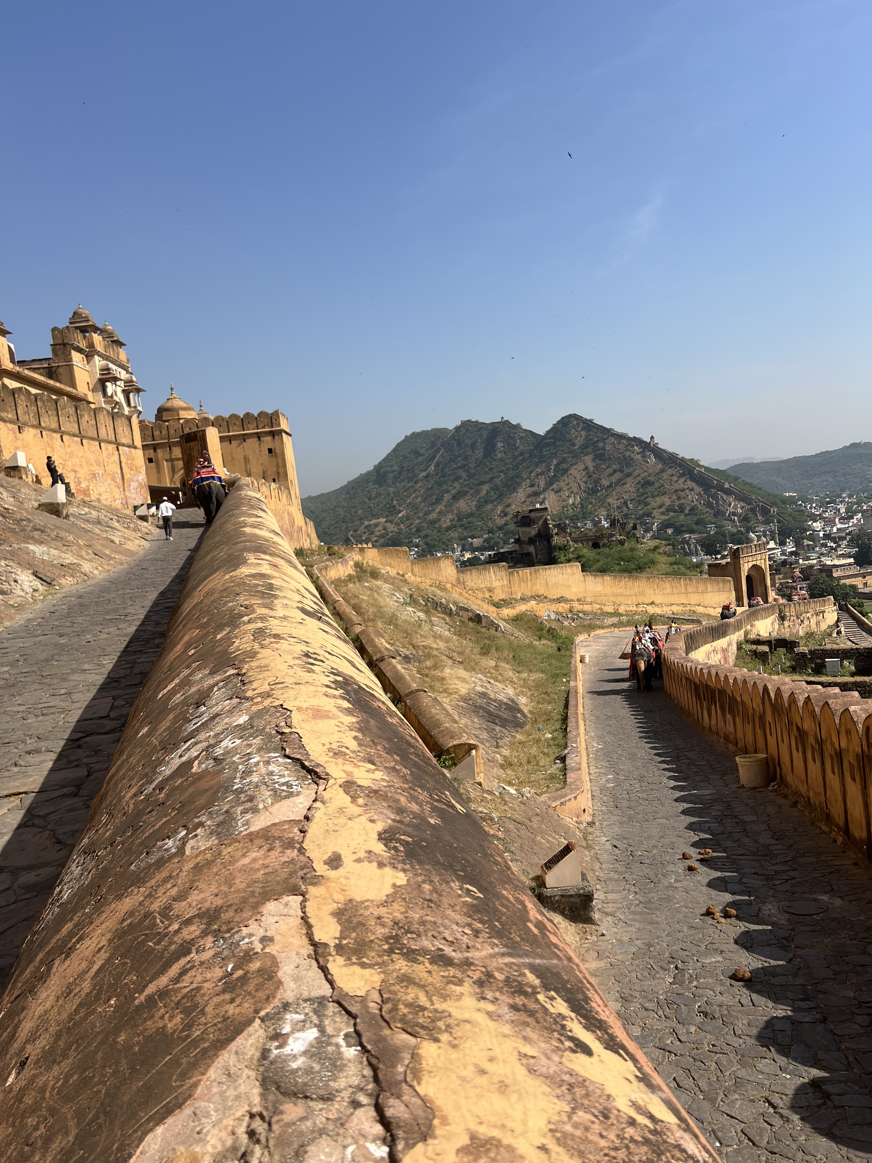 Золотой треугольник Индии + пляжи Гоа (47/143)