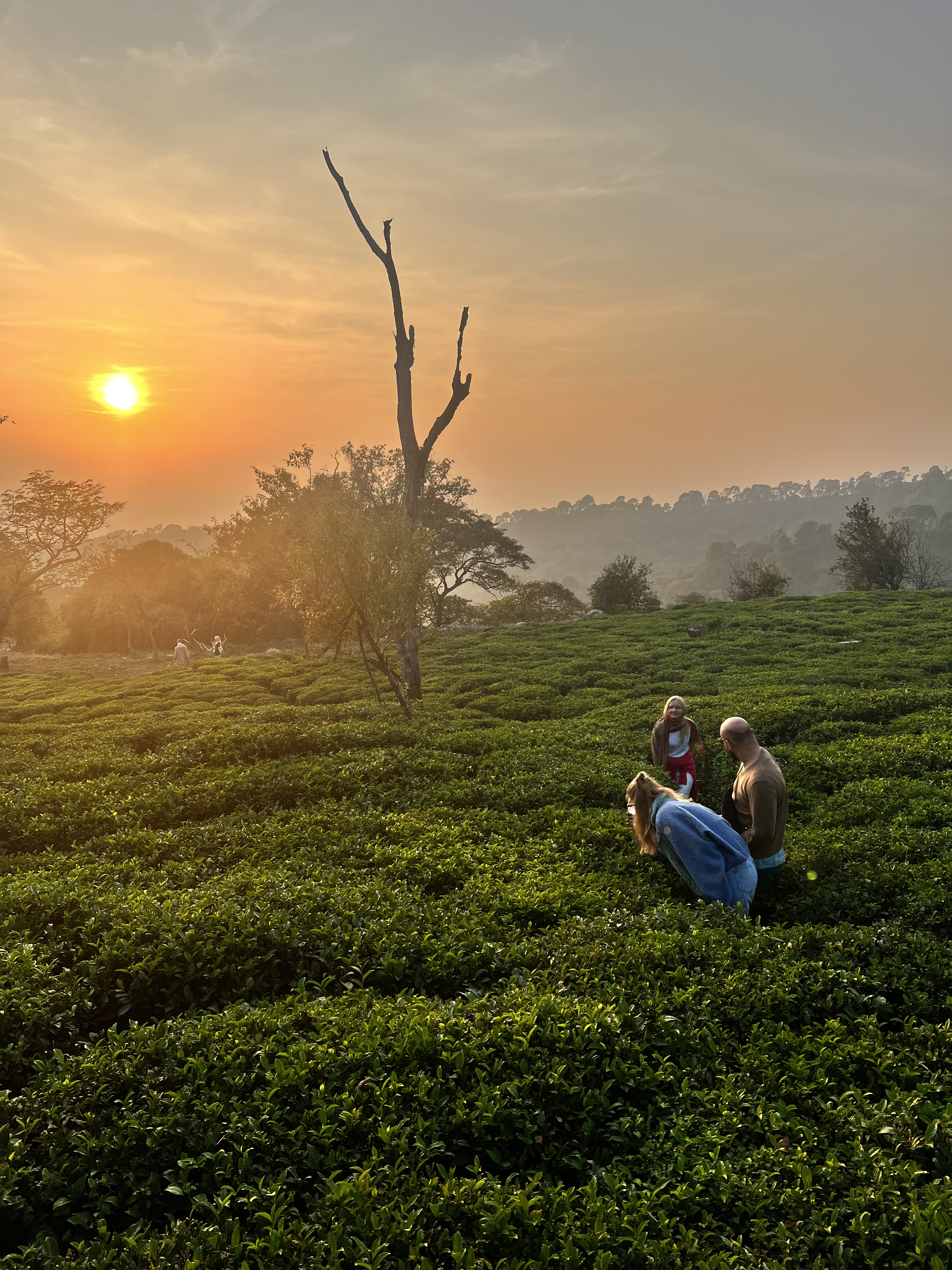 Гималаи. В гостях у Далай-Ламы + места силы Рериха (40/75)