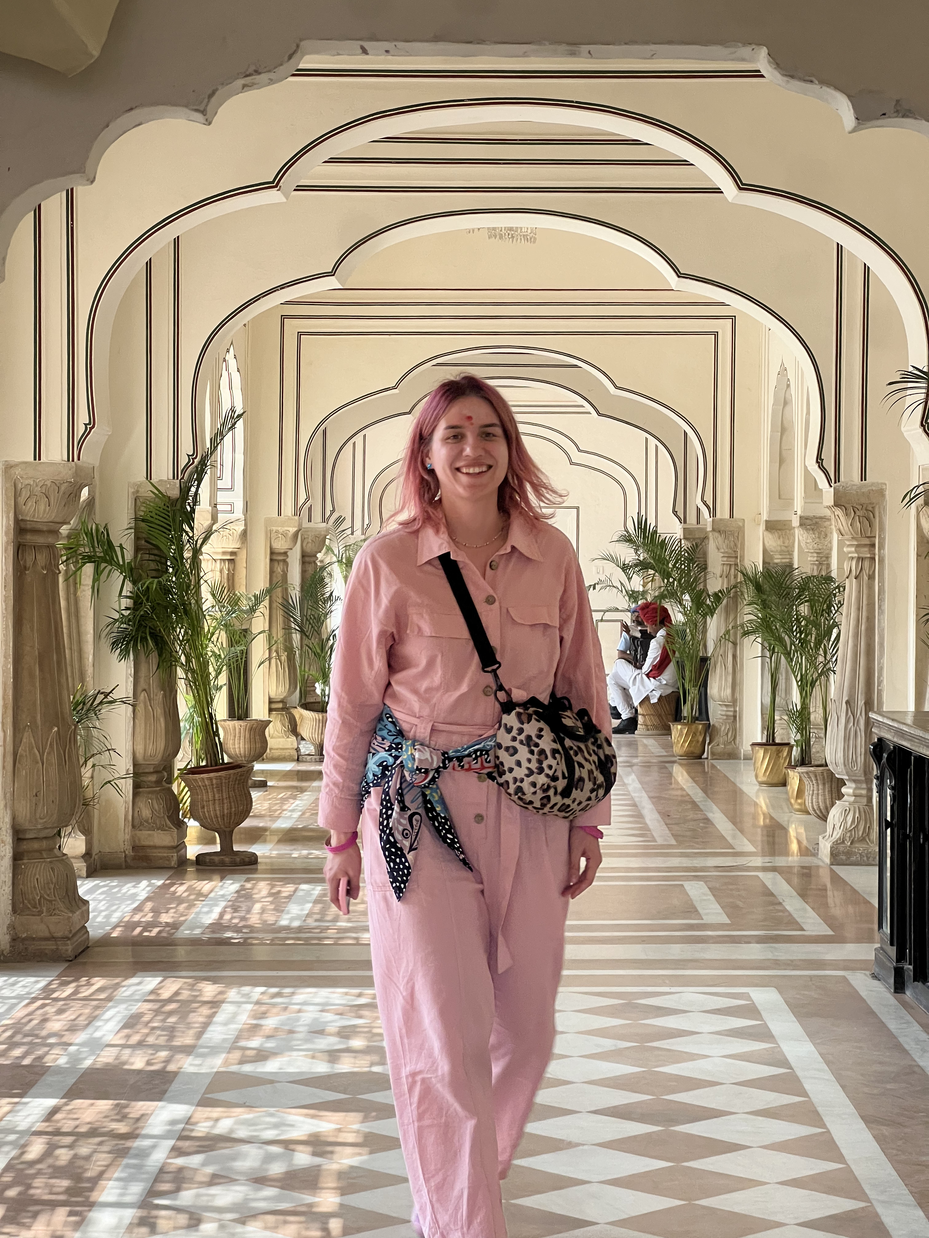 Золотой треугольник Индии + пляжи Гоа (93/143)